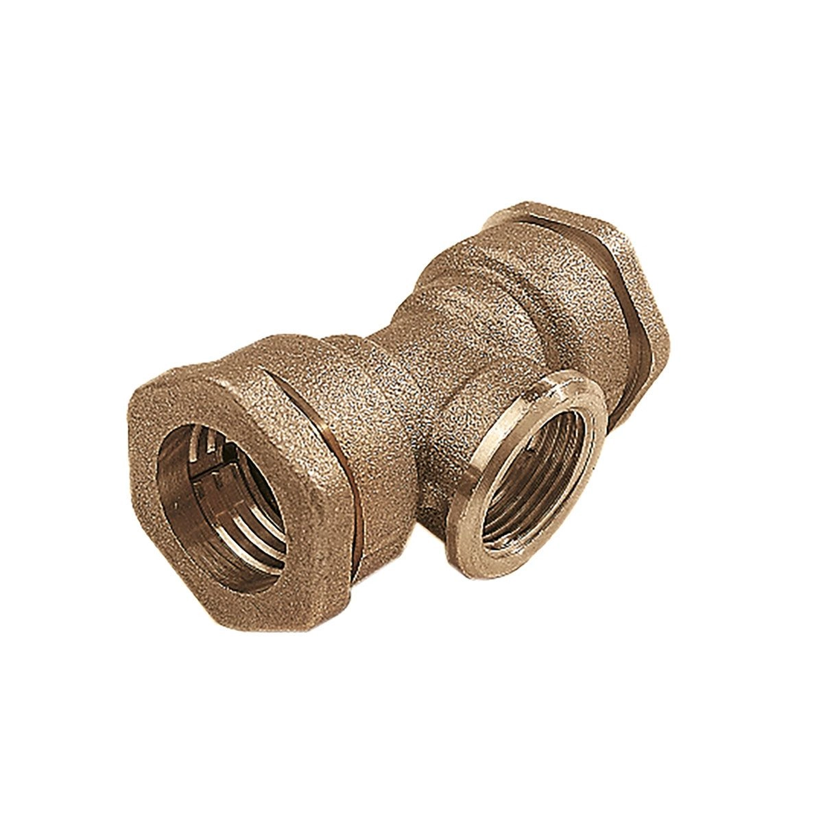 Te Derivation Laiton Femelle 1 Te Derivation Laiton Femelle