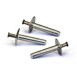 Rivets Frapper (lot De 50)